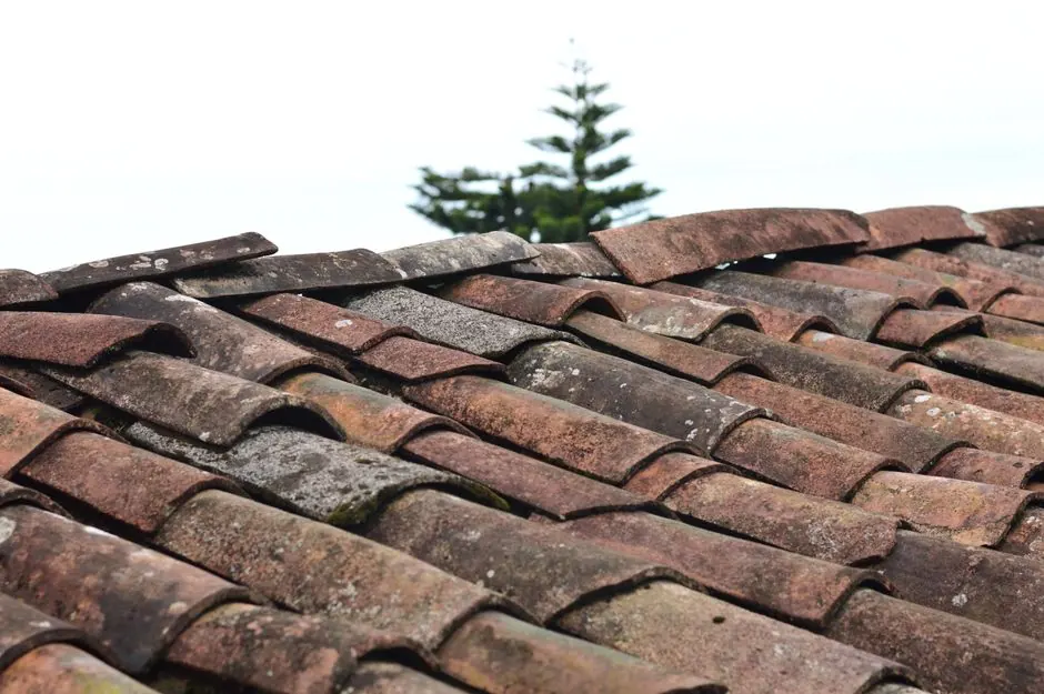 Wind Damage Roof Repair in Pasadena
